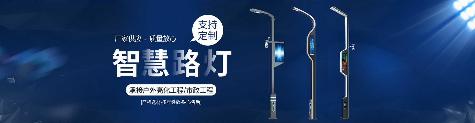 阳新县太阳能路灯定制厂家