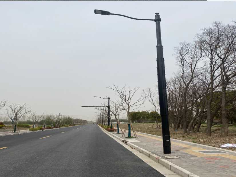 阳新县上海综合杆 太阳能路灯工程
